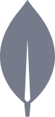 Netspire Logo