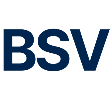 BSV Brand Logo BSV logo representing a business, technology, or corporate brand identity